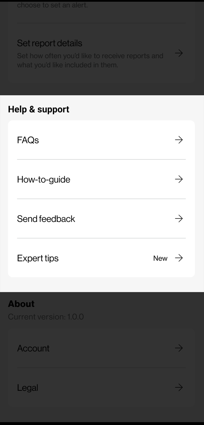 The Help & support group lit, holding FAQs, How-to-guide, Send feedback, and Expert tips marked New. The Set report details row above and the About group below are dimmed.